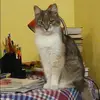 Отзыв от Маргарита Прохорова